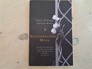 Southwesterly Wind by Luiz Alfredo Garcia - Roza